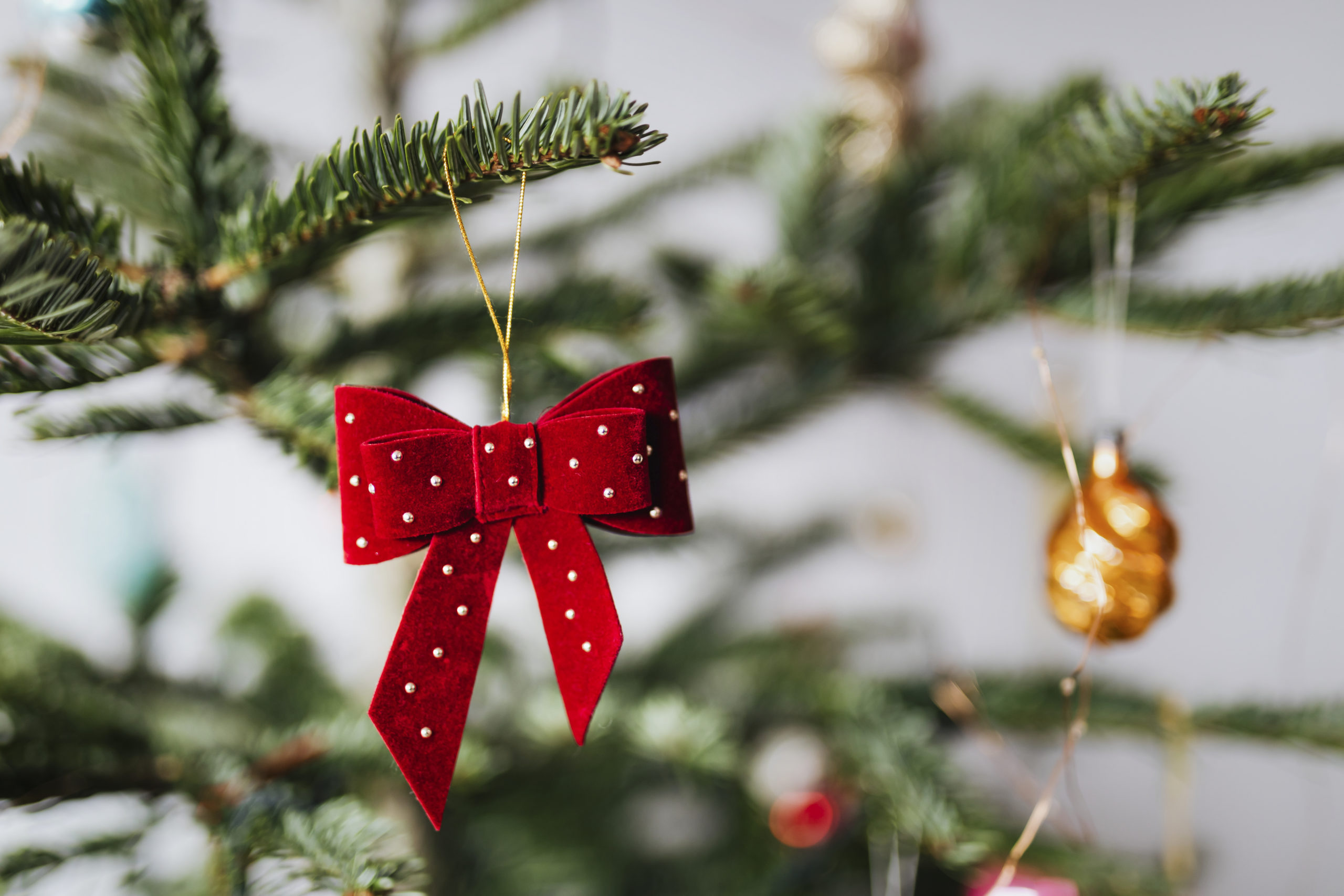 Red ribbon hanging on a Christmas tree